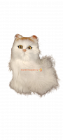 Кот из меха средний во Сосенском